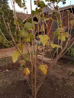 20191108_163721.webp