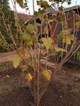 20191108_163721.jpg