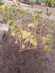 20191108_163728.jpg