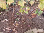 20191108_163552.jpg
