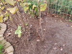 20191108_163559.jpg