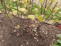 20191108_163607.webp
