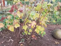20191108_163622.jpg