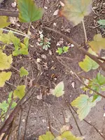 20191108_163643.webp