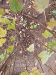 20191108_163643.jpg