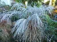 DSCF3286 (2).webp