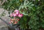 Nov.3119.JPG