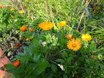 DSC00745.JPG