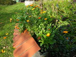 DSC00746.JPG