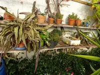 DSC00735.webp
