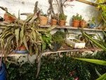 DSC00735.JPG