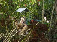 DSC00754.webp