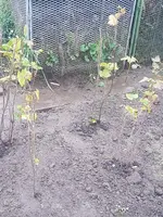 20191111_161817.webp