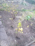 20191111_161759.jpg