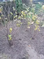 20191111_161809.jpg