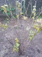 20191111_161826.webp