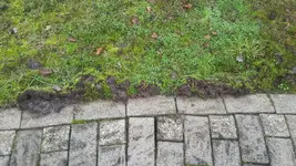 20191108_132940.webp