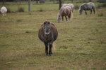 DSC08464.JPG