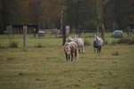 DSC08465.JPG