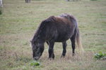 DSC08467.JPG
