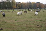 DSC08473.JPG