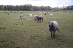 DSC08474.JPG