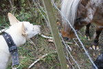 DSC08476.JPG