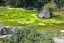 IMG_7015.webp