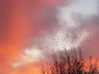 20191114_073920.jpg