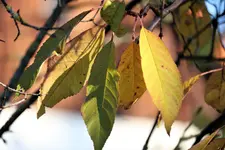 image002.webp