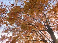 DSCI1050 (1).webp