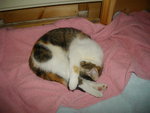 IMGP8366.JPG