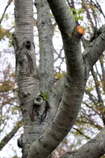 image002.webp