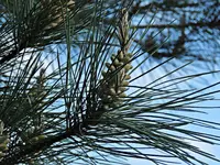 IMG_6571 v (2).webp