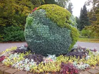 DSCF3090.webp
