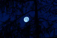 image008.webp