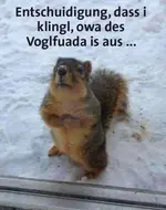 Eichhö.webp