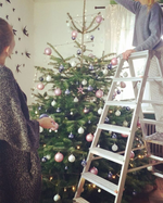 5F440882-9310-46AF-A081-F3ED342F8574.webp 5F440882-9310-46AF-A081-F3ED342F8574.webp