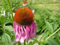05_09_2019 (73).webp