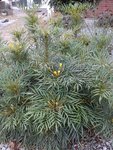 DSC05727.jpg