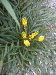 DSC05728.jpg