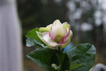 DSC08491.JPG