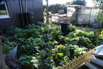 DSC06409.JPG