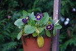 DSC08495.JPG