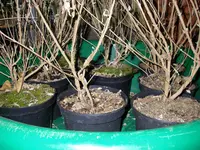 22_11_2019 (8).webp