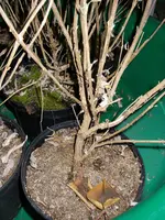 22_11_2019 (6).webp