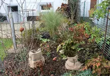 Garten Ende November 8.webp