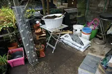 DSC08498.webp
