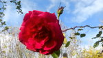 IMG-20191124-WA0007.jpeg