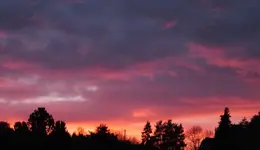 DSCF3309 (2).webp